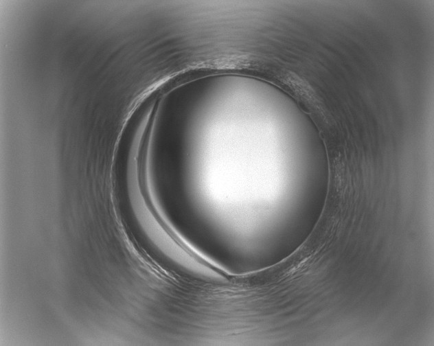 X0000053120536200508081254