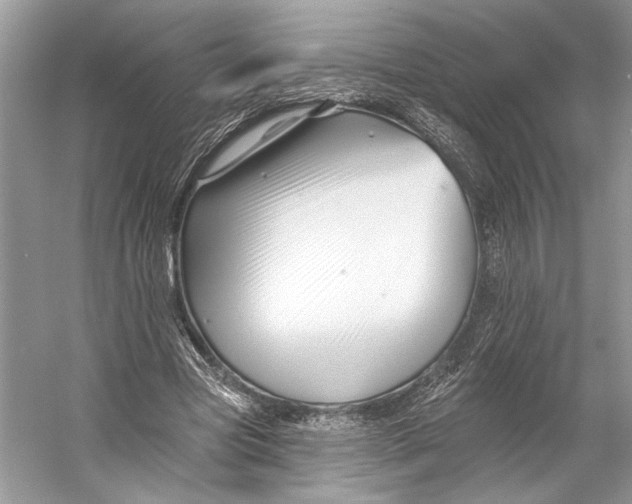 X0000053120537200508081254