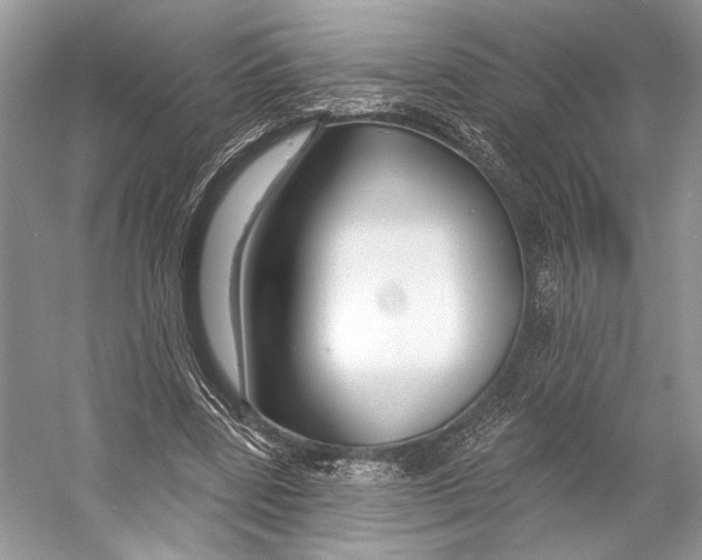 X0000053120539200508081254