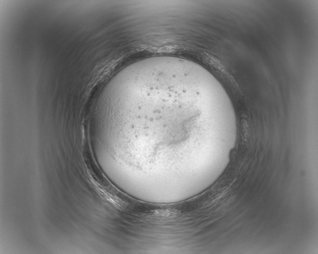 X0000053120541200508081254