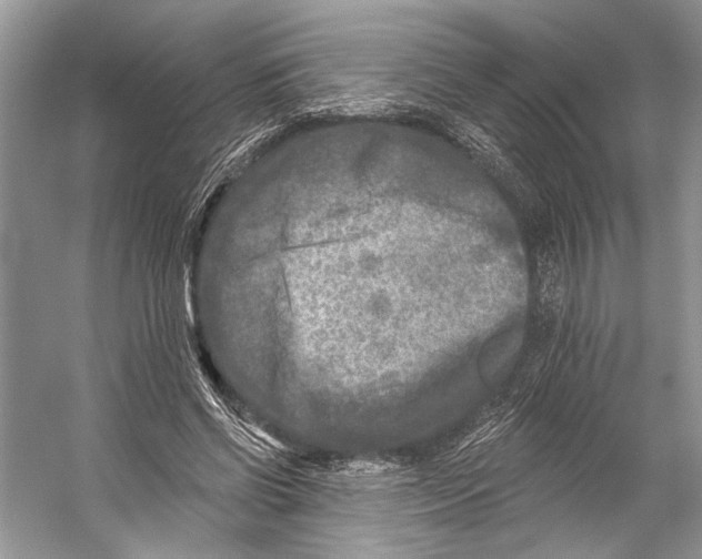 X0000053120542200508081254