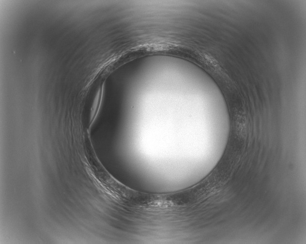 X0000053120543200508081254