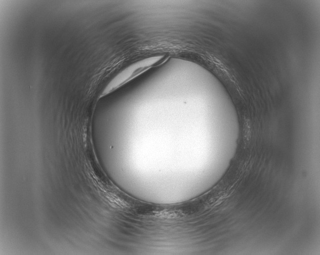 X0000053120545200508081254