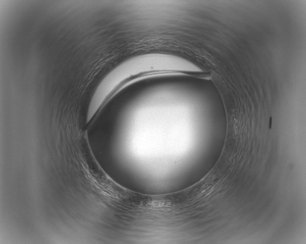 X0000053120546200508081254