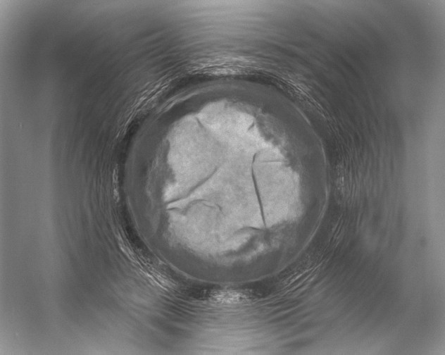 X0000053120547200508081254