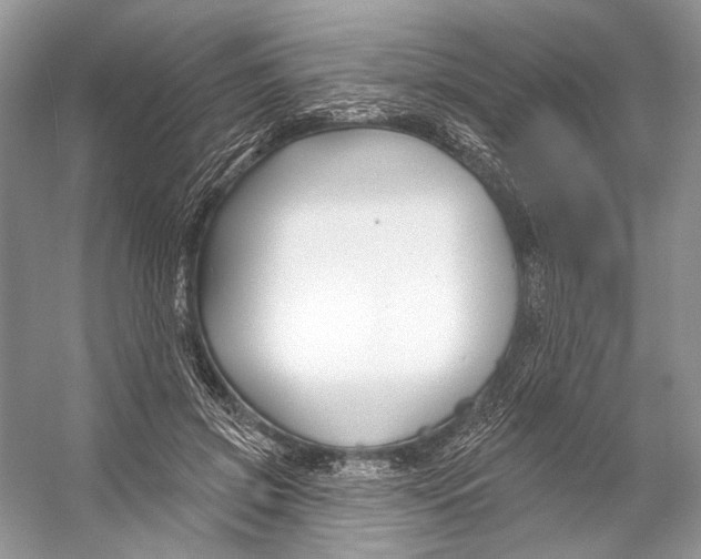 X0000053120549200508081254