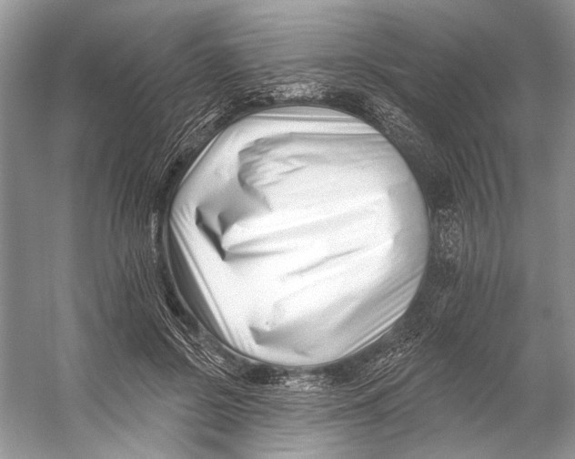 X0000053120550200508081254