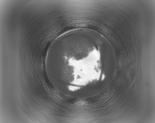 X0000053120551200508081254