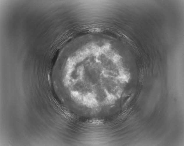 X0000053120553200508081254