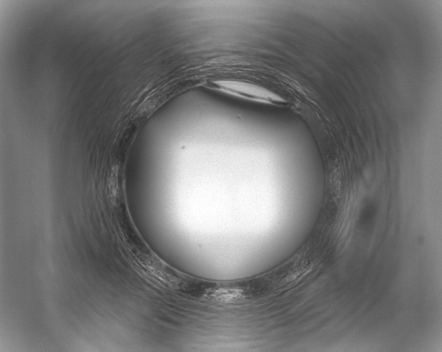 X0000053120554200508081254