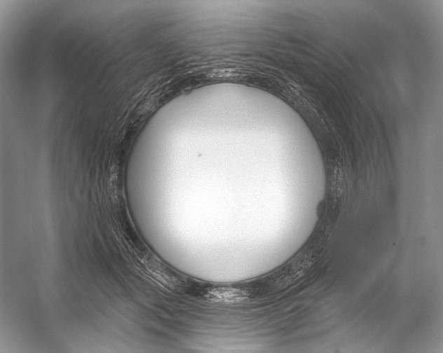 X0000053120557200508081254