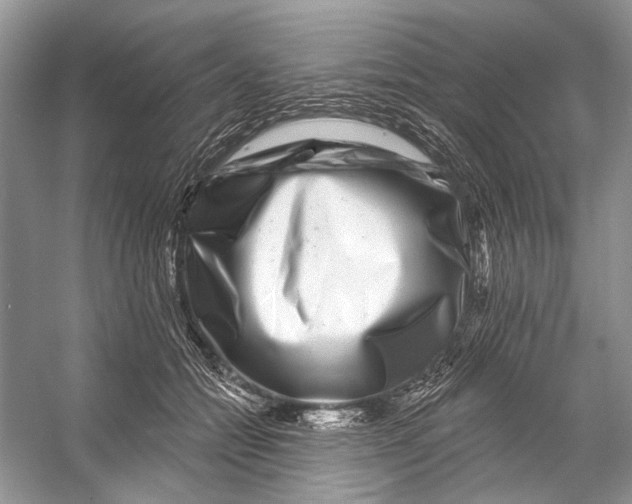 X0000053120558200508081254