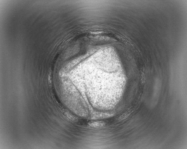 X0000053120561200508081254