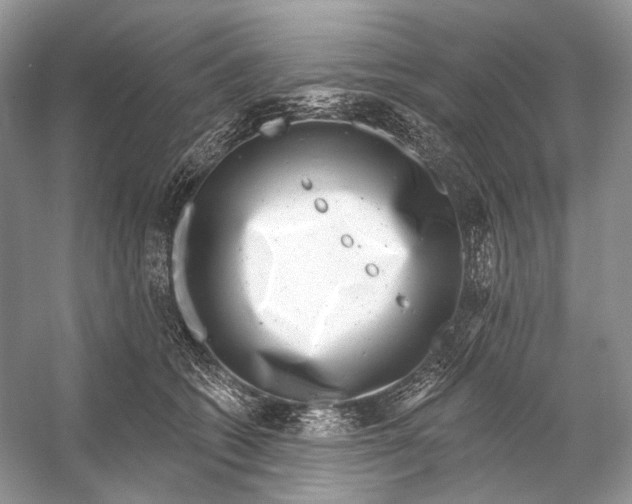 X0000053120562200508081254