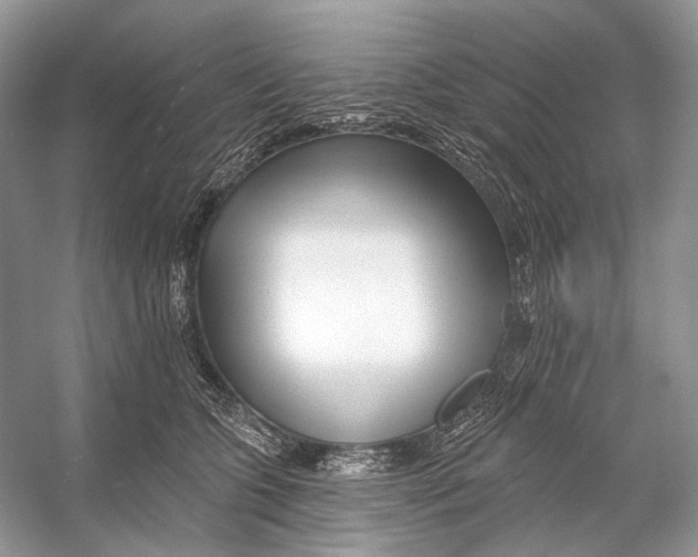 X0000053120563200508081254