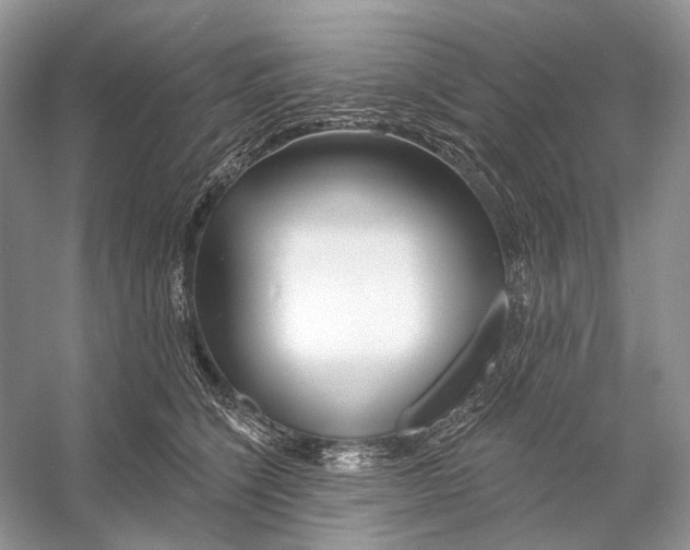 X0000053120564200508081255