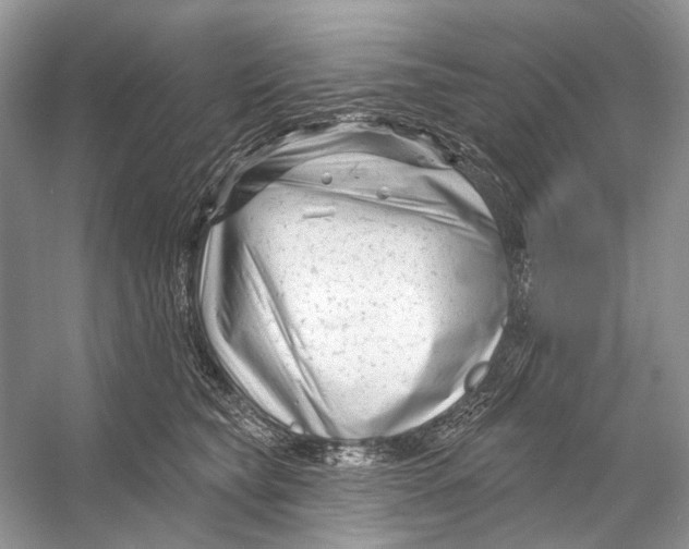 X0000053120565200508081255