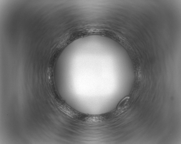 X0000053120567200508081255