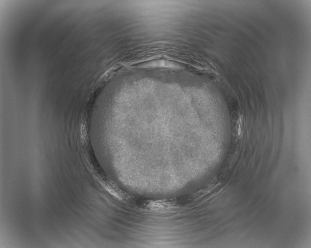 X0000053120568200508081255