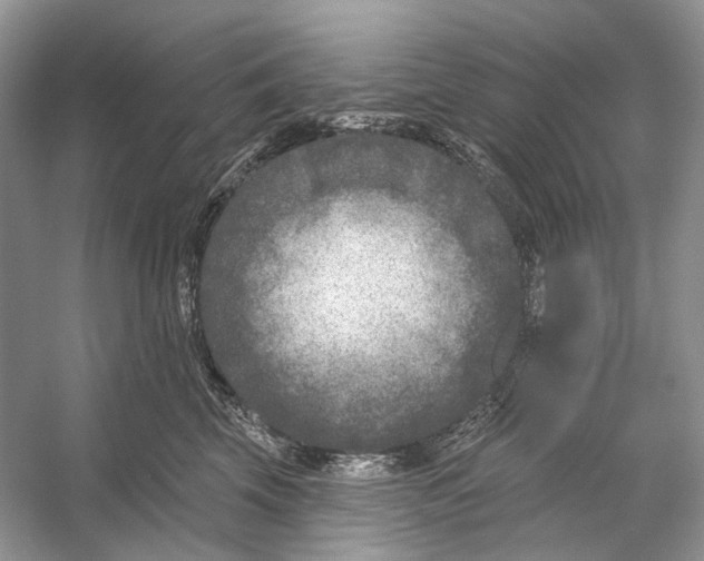 X0000053120569200508081255