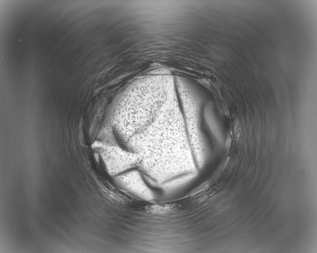 X0000053120570200508081255