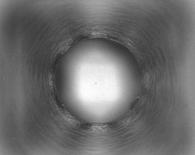 X0000053120571200508081255