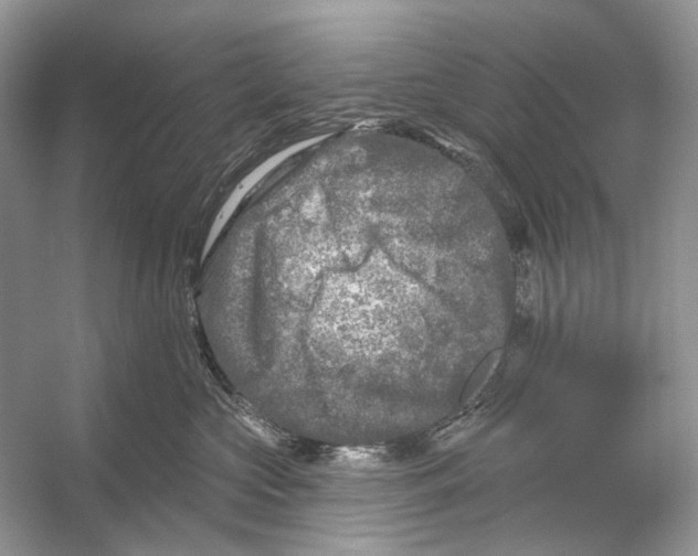 X0000053120573200508081255