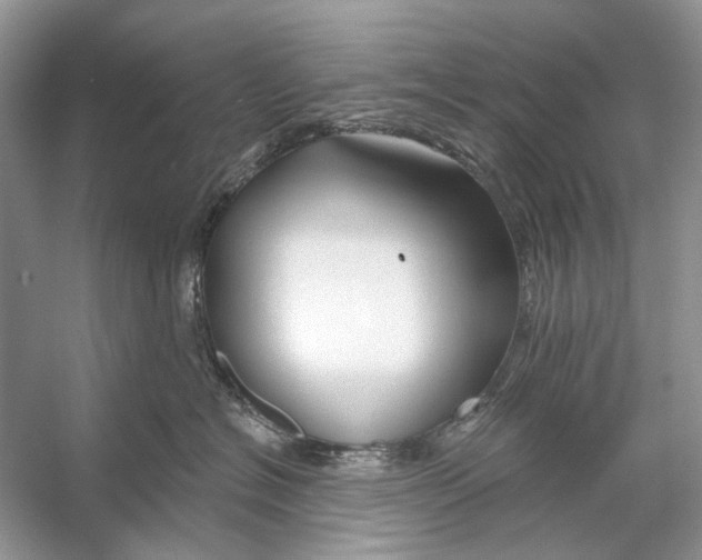 X0000053120574200508081255