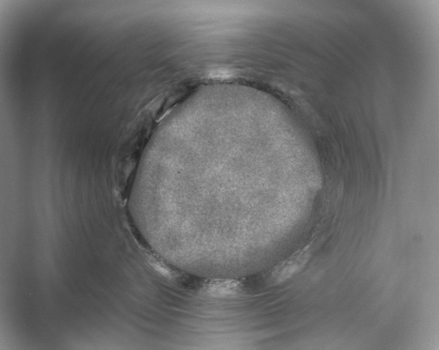 X0000053120576200508081255