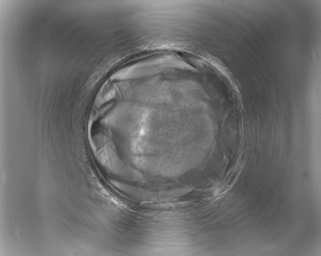 X0000053120577200508081254