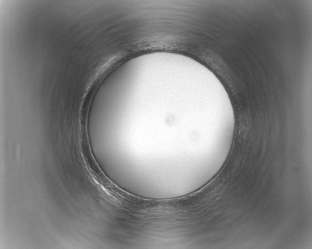 X0000053120578200508081254