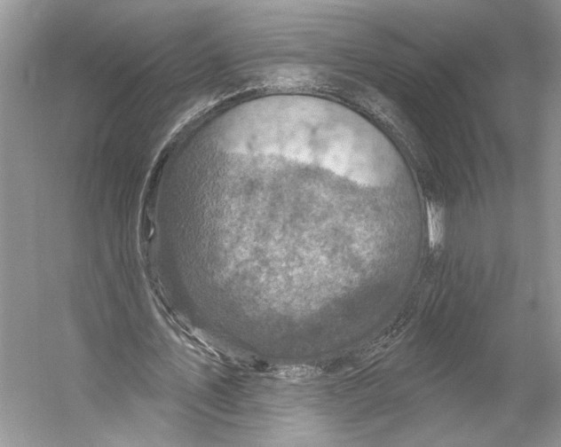 X0000053120579200508081254