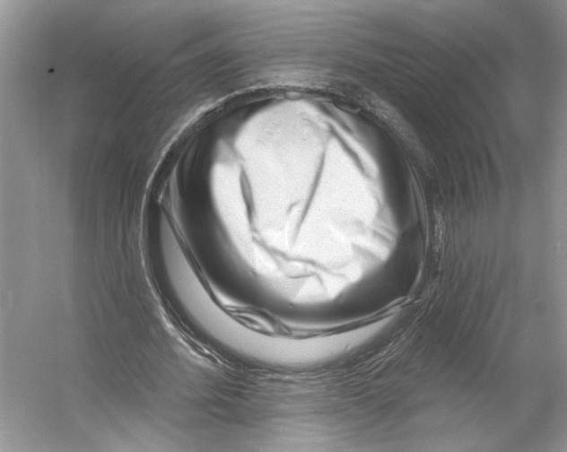 X0000053120580200508081254