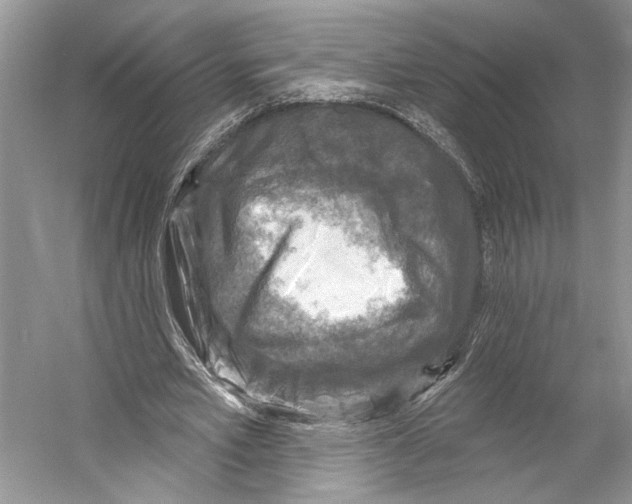 X0000053120581200508081254