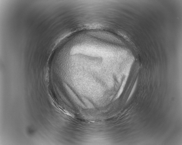 X0000053120583200508081254