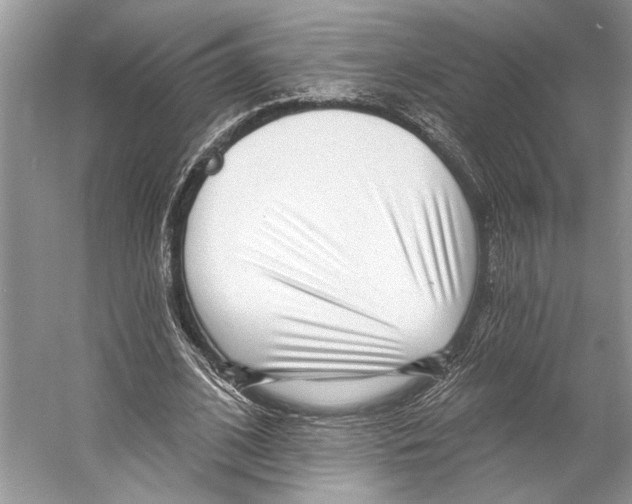 X0000053120584200508081254