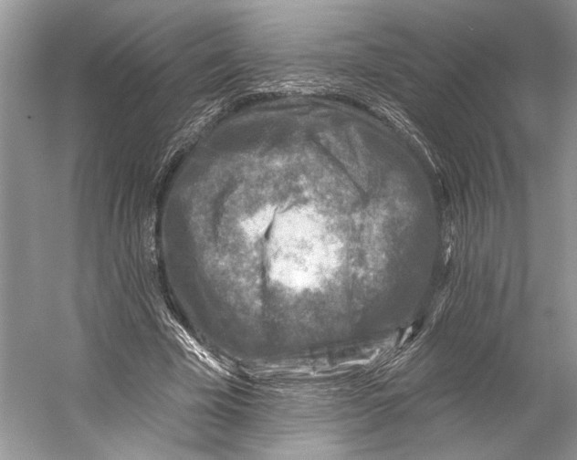 X0000053120585200508081254