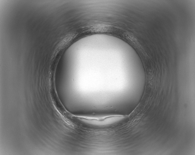 X0000053120586200508081254