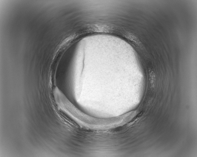 X0000053120587200508081254