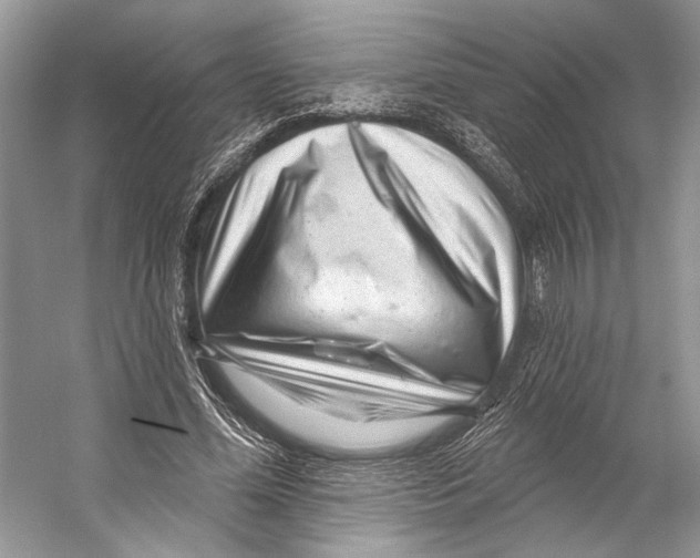 X0000053120588200508081254