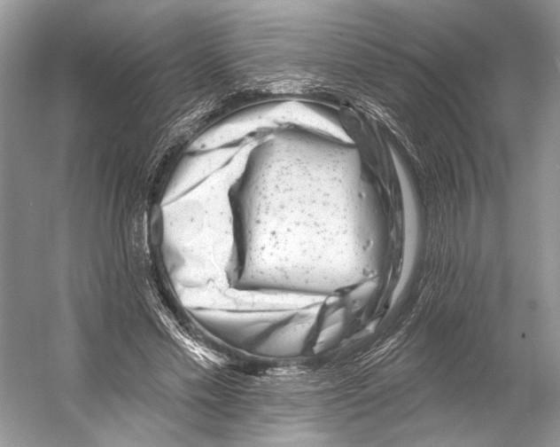 X0000053120589200508081254