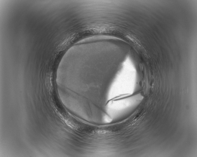 X0000053120590200508081254