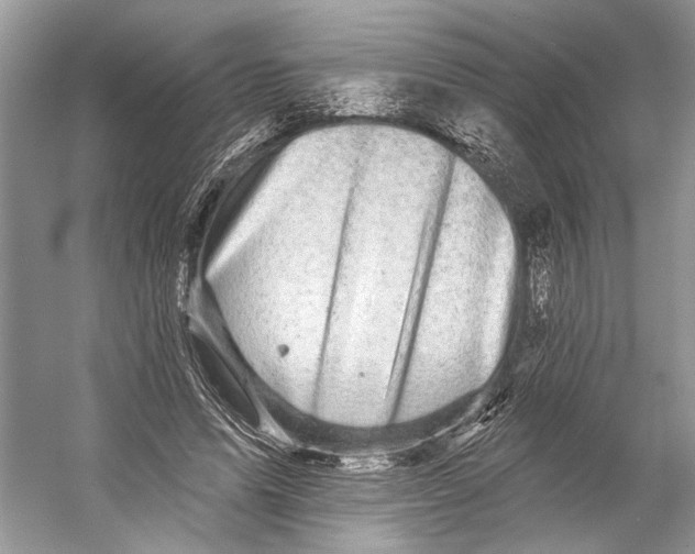 X0000053120591200508081254