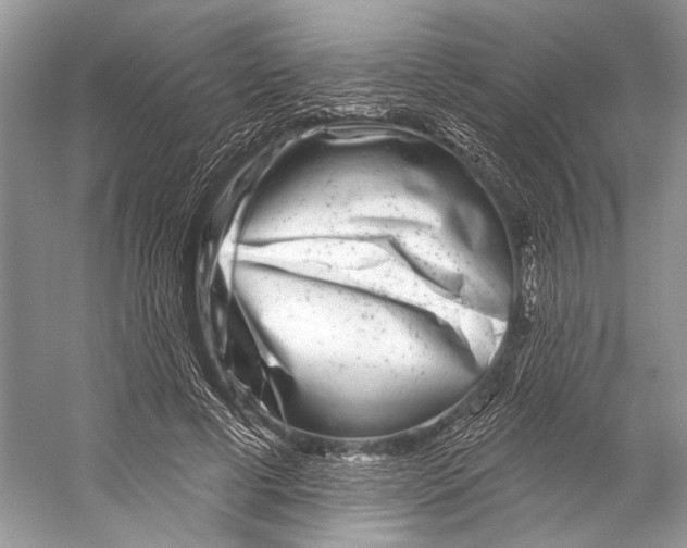 X0000053120593200508081254