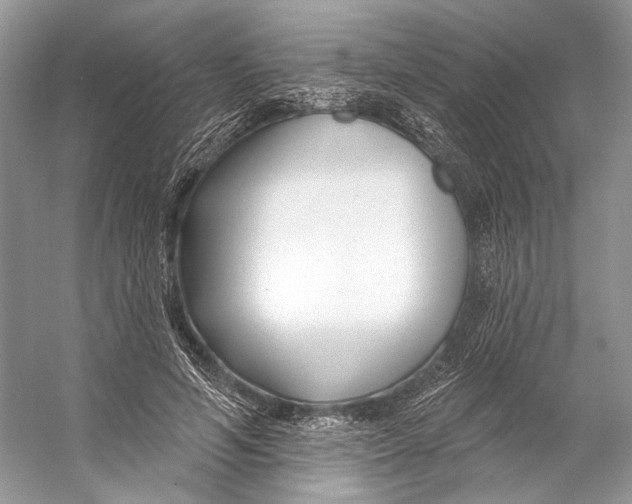 X0000053120594200508081254