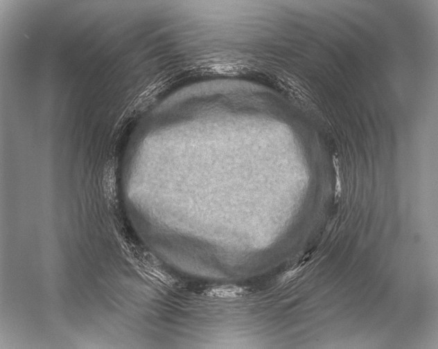 X0000053120595200508081254