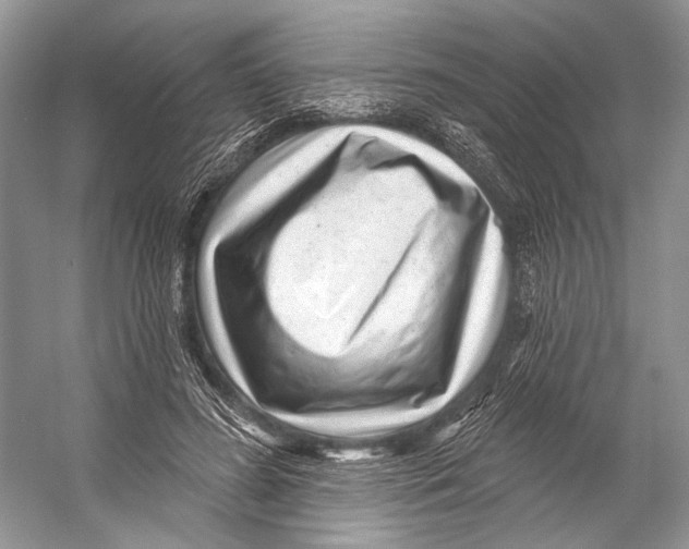 X0000053120596200508081254