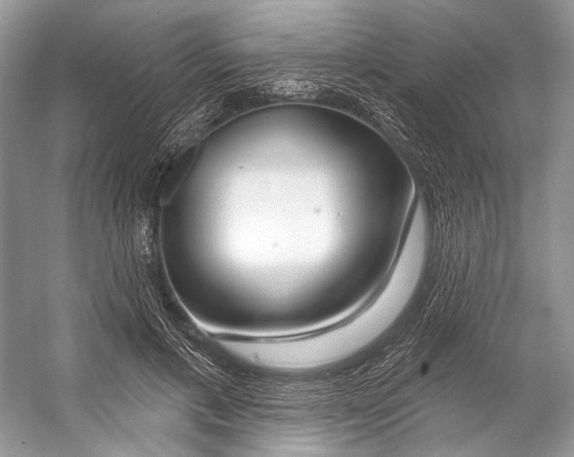 X0000053120597200508081254