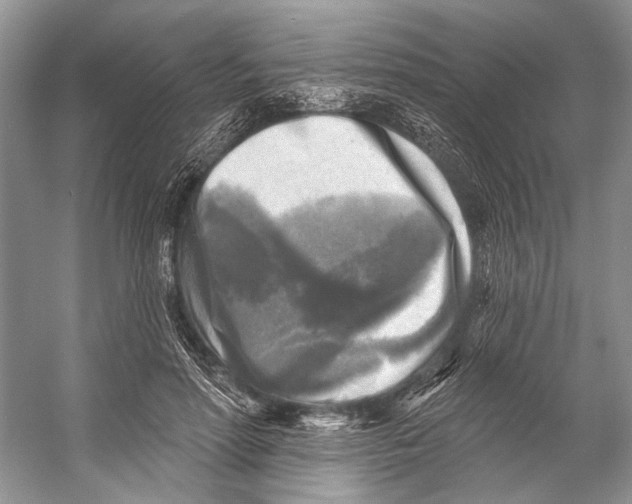 X0000053120598200508081254