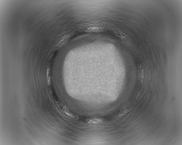 X0000053120599200508081254